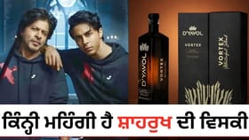 ਸ਼ਾਹਰੁਖ-ਆਰੀਅਨ ਦੀ ਵਿਸਕੀ ਦੀ ਭਾਰਤ ਵਿਚ ਕਿੰਨੀ ਕੀਮਤ?