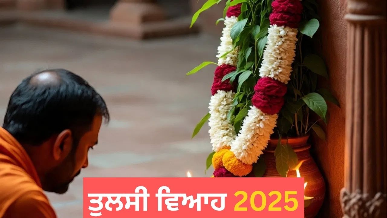 ਤੁਲਸੀ ਵਿਆਹ ਦਾ ਇਹ ਹੈ ਵਿਧੀ ਵਿਧਾਨ, ਸ਼ੁਭ ਮੁਹੂਰਤ 'ਤੇ ਇਸ ਤਰ੍ਹਾਂ ਕਰੋ ਪੂਜਾ