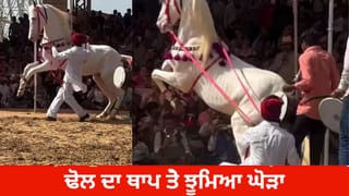 Viral Video:  ਗਜਬ ਤਰੀਕੇ ਨਾਲ ਬੰਦੇ ਨੇ ਘੋੜੇ ਨੂੰ ਕੀਤਾ ਕੰਟਰੋਲ, ਢੋਲ ਅਤੇ ਭੰਗੜੇ ਦੀ ਥਾਪ ‘ਤੇ ਜਬਰਦਸਤ ਨੱਚਿਆ ਘੋੜਾ