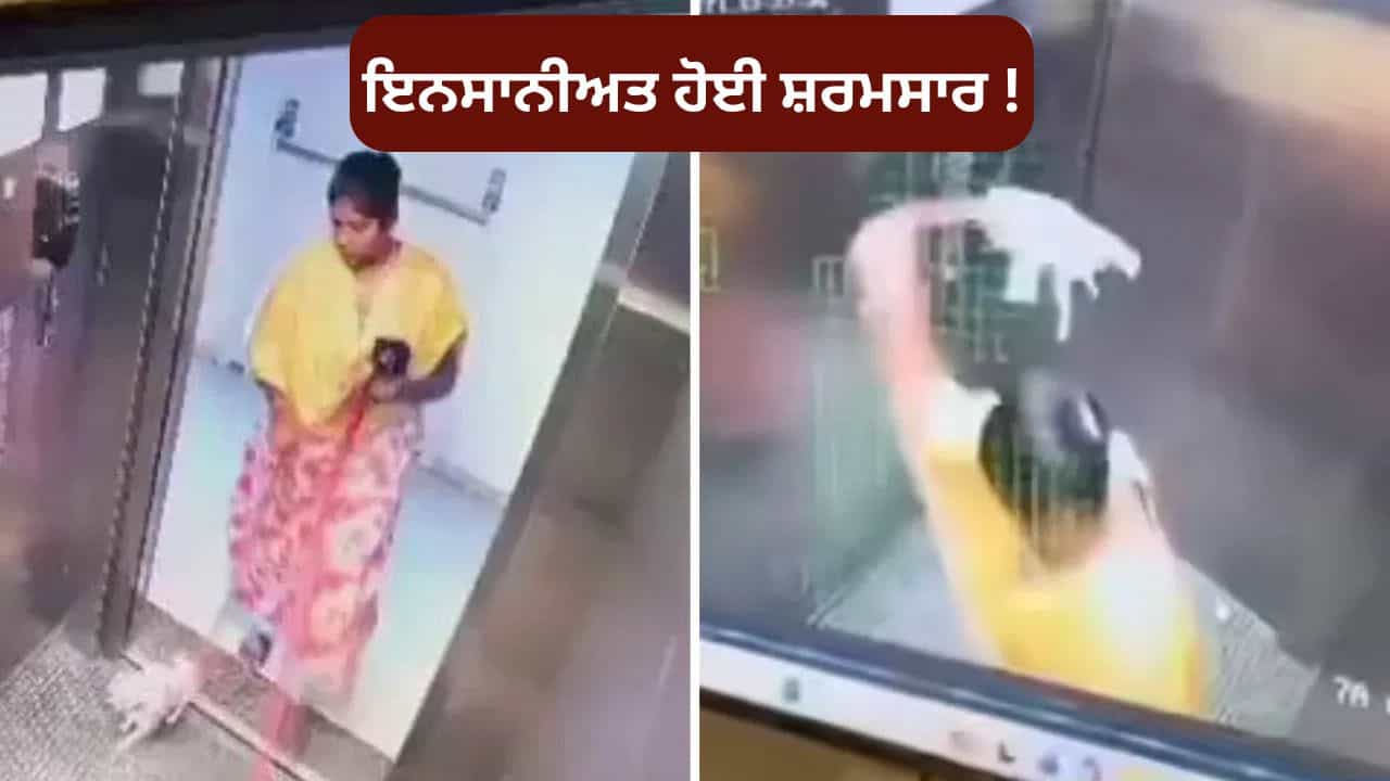 Viral Video : ਬੈਂਗਲੂਰੂ ਚ ਕੰਮਵਾਲੀ ਨੇ ਕਤੂਰਿਆਂ ਨਾਲ ਕੀਤੀ ਦਰਿੰਦਗੀ, CCTV ਫੁਟੇਜ ਦੇਖ ਕੇ ਭੜਕੇ ਲੋਕ !