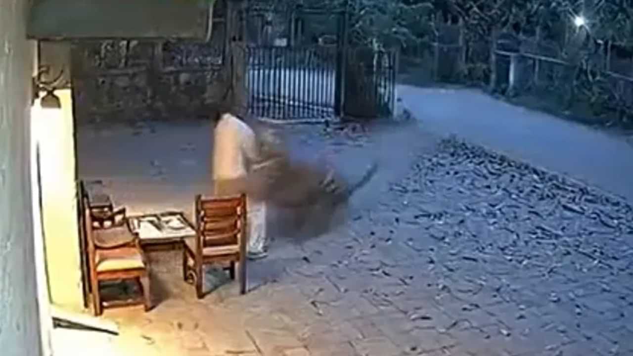 Viral Video: ਘਰ ਸਾਹਮਣੇ ਬੈਠੇ ਸ਼ਖਸ ਤੇ ਬਾਘ ਨੇ ਕੀਤਾ ਹਮਲਾ, ਗਰਦਨ ਤੋਂ ਫੜ ਕੇ ਲੈ ਗਿਆ ਜੰਗਲ ਚ, ਨੈਟੀਜਨਸ ਨੇ ਪੁੱਛਿਆ : AI ਜਨਰੇਟੇਡ ਤਾਂ ਨਹੀਂ Video?