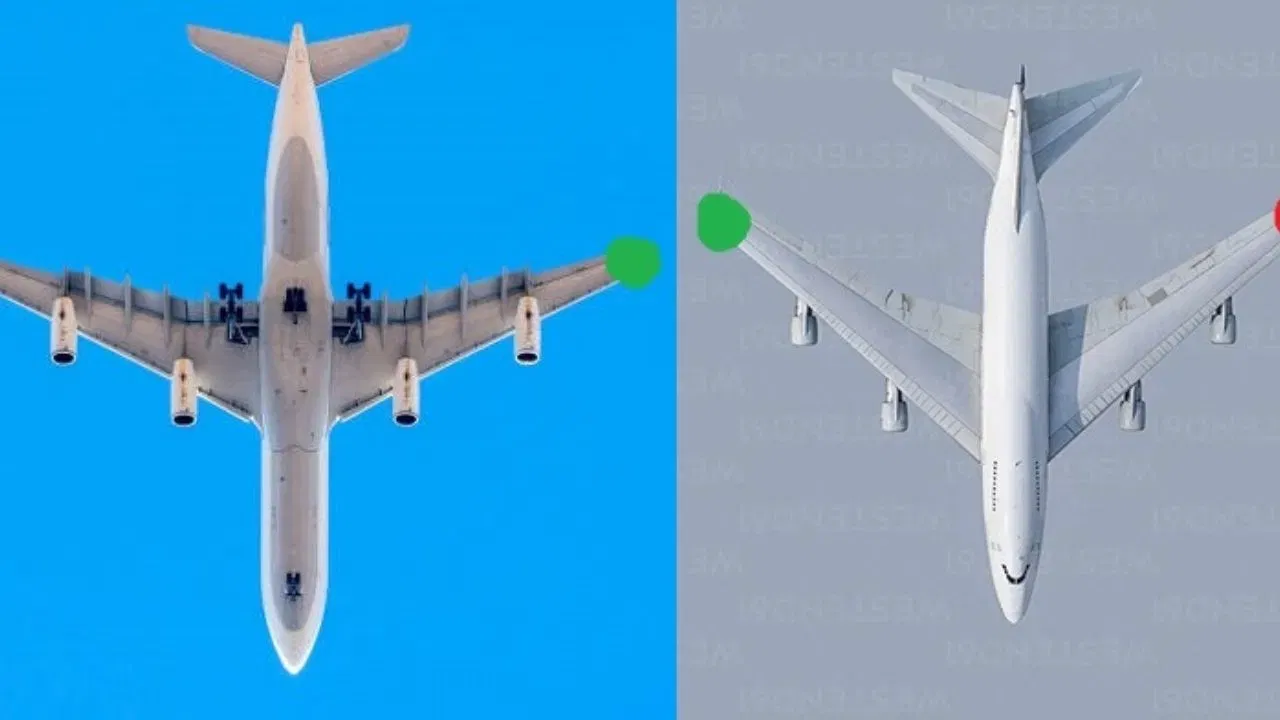 ਦਿਸ਼ਾ ਜਾਣਨ ਵਿੱਚ ਕਿਵੇਂ ਮਦਦ ਕਰਦੀਆਂ ਹਨ ਲਾਈਟਾਂ ?: ਇਹ ਨੈਵੀਗੇਸ਼ਨ ਲਾਈਟਾਂ ਅਸਮਾਨ ਵਿੱਚ ਇੱਕ ਕੰਪਾਸ ਵਾਂਗ ਕੰਮ ਕਰਦੀਆਂ ਹਨ। ਲਾਲ ਅਤੇ ਹਰੀਆਂ ਲਾਈਟਾਂ ਦੋਵਾਂ ਦੇ ਇੱਕੋ ਸਮੇਂ ਦਿਖਾਈ ਦੇਣ ਦਾ ਮਤਲਬ ਹੈ ਕਿ ਜਹਾਜ਼ ਸਿੱਧਾ ਉਨ੍ਹਾਂ ਵੱਲ ਉੱਡ ਰਿਹਾ ਹੈ। ਜੇਕਰ ਸਿਰਫ਼ ਲਾਲ ਬੱਤੀ ਦਿਖਾਈ ਦੇ ਰਹੀ ਹੈ, ਤਾਂ ਜਹਾਜ਼ ਸੱਜੇ ਤੋਂ ਖੱਬੇ ਯਾਤਰਾ ਕਰ ਰਿਹਾ ਹੈ। ਜੇਕਰ ਸਿਰਫ਼ ਹਰੀ ਬੱਤੀ ਦਿਖਾਈ ਦੇ ਰਹੀ ਹੈ, ਤਾਂ ਜਹਾਜ਼ ਖੱਬੇ ਤੋਂ ਸੱਜੇ ਯਾਤਰਾ ਕਰ ਰਿਹਾ ਹੈ।