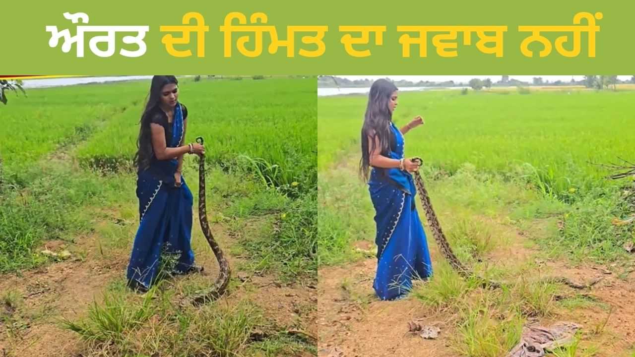 ਔਰਤ ਨੇ ਫੜਿਆ ਵਿਸ਼ਾਲ ਅਜਗਰ,ਫਿਰ ਜੋ ਹੋਇਆ...ਵੀਡਿਓ ਦੇਖ ਰਹਿ ਜਾਓਗੇ ਦੰਗ