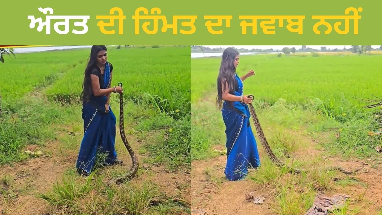ਔਰਤ ਨੇ ਫੜਿਆ ਵਿਸ਼ਾਲ ਅਜਗਰ,ਫਿਰ ਜੋ ਹੋਇਆ...ਵੀਡਿਓ ਦੇਖ ਰਹਿ ਜਾਓਗੇ ਦੰਗ