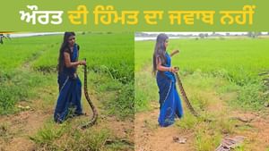 ਔਰਤ ਨੇ ਫੜਿਆ ਵਿਸ਼ਾਲ ਅਜਗਰ,ਫਿਰ ਜੋ ਹੋਇਆ...ਵੀਡਿਓ ਦੇਖ ਰਹਿ ਜਾਓਗੇ ਦੰਗ ਔਰਤ ਨੇ ਫੜਿਆ ਵਿਸ਼ਾਲ ਅਜਗਰ,ਫਿਰ ਜੋ ਹੋਇਆ...ਵੀਡਿਓ ਦੇਖ ਰਹਿ ਜਾਓਗੇ ਦੰਗ