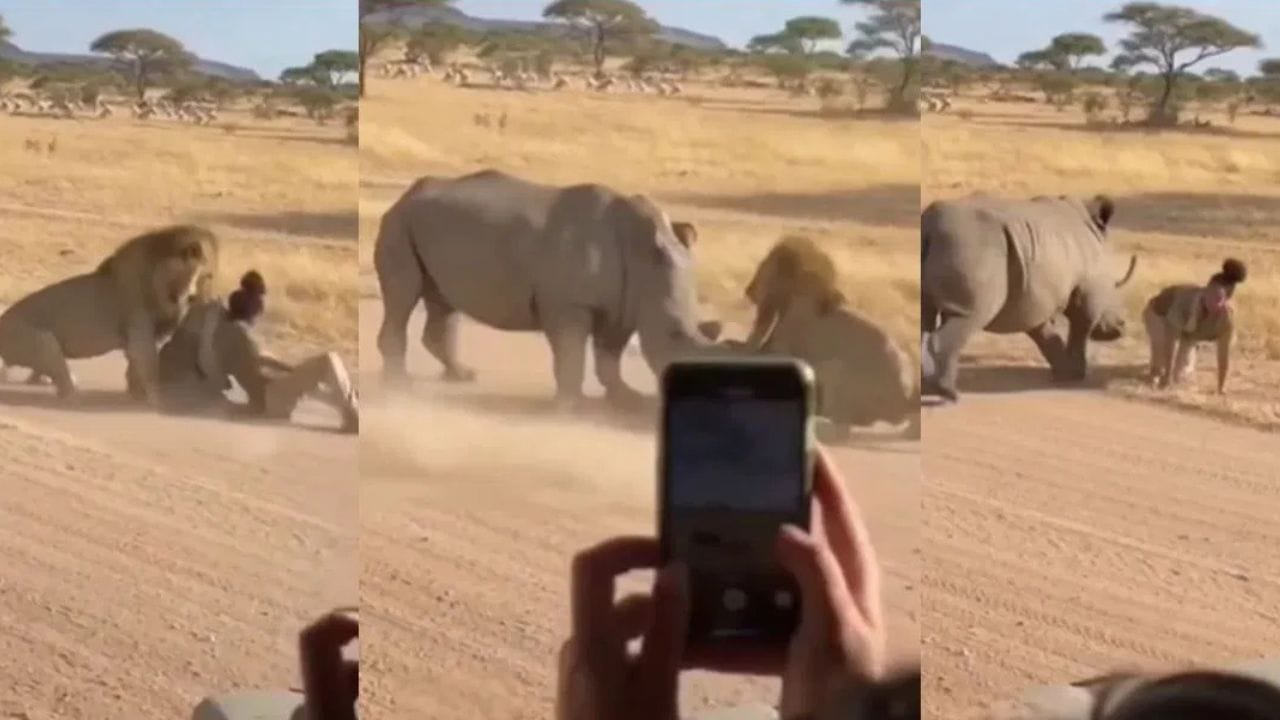 Shocking Video: ਔਰਤ ਨੂੰ ਜਿੰਦਾ ਹੀ ਖਾ ਜਾਂਦਾ ਸ਼ੇਰ, ਗੈਂਡੇ ਨੇ ਇੰਝ ਬਚਾਈ ਜਾਨ; ਹੋਸ਼ ਉਡਾ ਦੇਵੇਗਾ ਵੀਡੀਓ