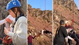 Video: ਹਵਾ 'ਚ 'ਮੌਤ', ਛਾਲ ਮਾਰਦਿਆਂ ਹੀ ਕੁੜੀ ਨੂੰ ਆਇਆ ਹਾਰਟ ਅਟੈਕ! ਜਾਣੋ ਸੱਚ