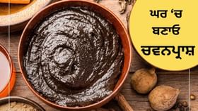 ਇਨ੍ਹਾਂ ਚੀਜ਼ਾਂ ਨਾਲ ਘਰ ਵਿੱਚ ਬਣਾਓ ਚਵਨਪ੍ਰਾਸ਼, ਸਰਦੀਆਂ ਵਿੱਚ ਸਰੀਰ ਰਹੇਗਾ ਗਰਮ