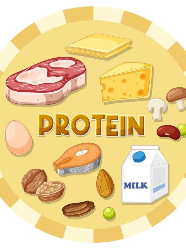 ਸਰਦੀਆਂ ਵਿਚ ਖਾਓ ਇਹ ਚੀਜ਼ਾਂ, ਮਿਲੇਗਾ ਭਰਪੂਰ ਪ੍ਰੋਟੀਨ