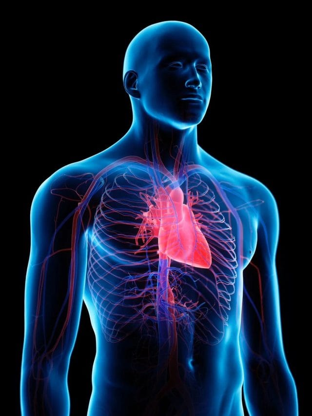 ਠੰਡ ਵਿਚ ਹਾਰਟ ਹੈਲਥ ਦਾ ਕਿਵੇਂ ਧਿਆਨ ਰੱਖੀਏ?