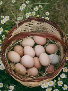 ਦੇਸੀ ਅੰਡਿਆਂ ਦੀ ਪਛਾਣ ਕਰਨ ਦੇ ਪੰਜ ਵੱਖ-ਵੱਖ ਤਰੀਕੇ...