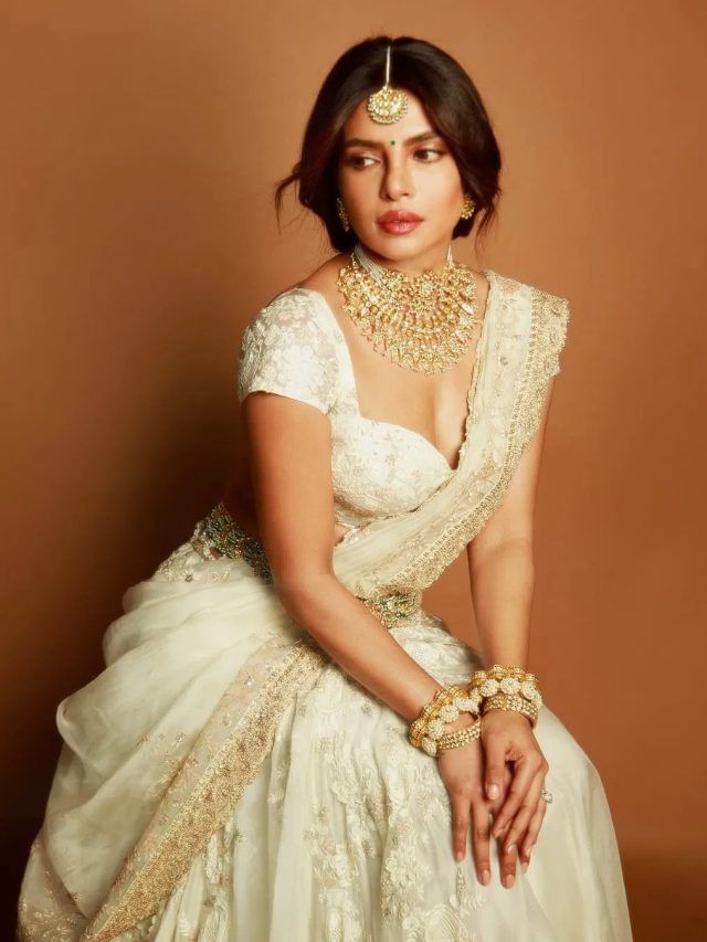 ਇਹ ਪ੍ਰਿਯੰਕਾ ਚੋਪੜਾ ਦੀ ਸਭ ਤੋਂ ਵੱਧ ਕਮਾਈ ਕਰਨ ਵਾਲੀ ਹਾਲੀਵੁੱਡ ਫਿਲਮ