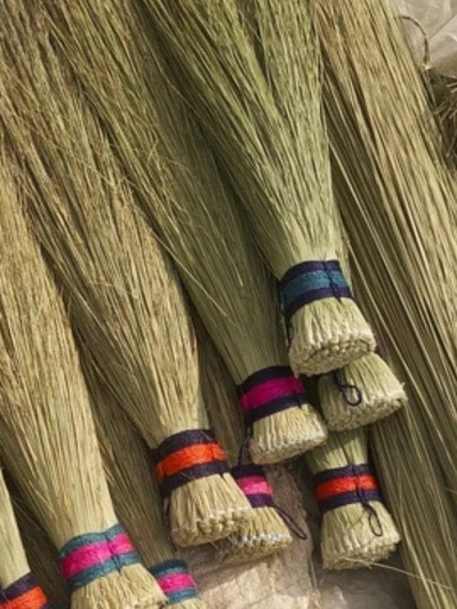 ਸ਼ਾਮ ਨੂੰ ਝਾੜੂ ਲਗਾਉਣ ਨਾਲ ਜੁੜੀਆਂ ਇਹ ਗਲਤੀਆਂ ਤੁਹਾਨੂੰ ਕਰ ਦੇਣਗੀਆਂ ਕੰਗਾਲ