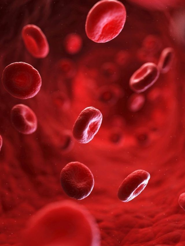 ਸਰਦੀਆਂ 'ਚ ਖੂਨ ਦੀ ਕਮੀ ਦੇ ਕੀ ਹਨ ਲੱਛਣ? ਮਾਹਰ ਤੋਂ ਜਾਣੋ