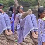 ਰੀਲ ਬਣਾ ਰਹੀ ਕੁੜੀ ਦੀ ਬਾਂਦਰ ਨੇ ਬਣਾਈ ਰੇਲ, ਇੱਕ ਦਮ ਹੋਏ ਹਮਲੇ ਤੋਂ ਡਰ ਗਈ ਦੀਦੀ