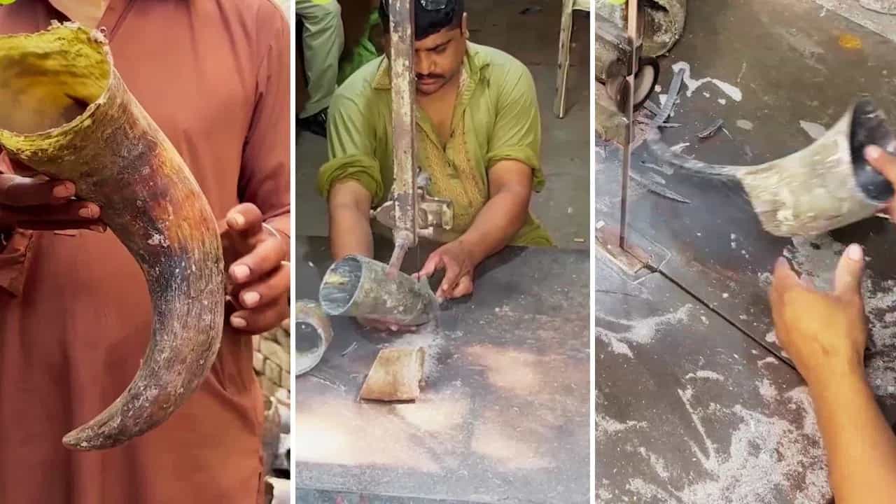 Viral Video: ਜਾਨਵਰ ਦੇ ਸਿੰਗਾਂ ਨਾਲ ਬਣਾਈ ਅਜਿਹੀ ਚੀਜ, ਵੀਡੀਓ ਵੇਖ ਕੇ ਸੋਚਾਂ ਵਿੱਚ ਪੈ ਗਈ ਜਨਤਾ Viral Video: ਜਾਨਵਰ ਦੇ ਸਿੰਗਾਂ ਨਾਲ ਬਣਾਈ ਅਜਿਹੀ ਚੀਜ, ਵੀਡੀਓ ਵੇਖ ਕੇ ਸੋਚਾਂ ਵਿੱਚ ਪੈ ਗਈ ਜਨਤਾ