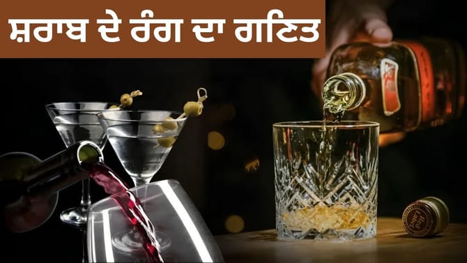 ਰੰਗਾਂ ਵਿੱਚ ਨਾ ਫਸੋ, ਜਾਣੋ ਵਿਸਕੀ, ਵੋਡਕਾ ਅਤੇ ਰੈੱਡ ਵਾਈਨ ਤੱਕ, ਕਿਸ ਵਿਚ ਕਿਨ੍ਹਾ