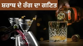 ਰੰਗਾਂ ਵਿੱਚ ਨਾ ਫਸੋ, ਜਾਣੋ ਵਿਸਕੀ, ਵੋਡਕਾ ਅਤੇ ਰੈੱਡ ਵਾਈਨ ਤੱਕ, ਕਿਸ ਵਿਚ ਕਿਨ੍ਹਾਂ ਨਸ਼ਾ...