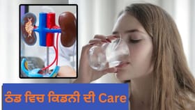 ਸਰਦੀਆਂ ਵਿੱਚ ਘੱਟ ਪਾਣੀ ਪੀਣ ਨਾਲ ਕਿਡਨੀ 'ਤੇ ਕੀ ਪ੍ਰਭਾਵ ਪੈਂਦਾ ਹੈ?