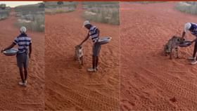 Video: ਬੰਦੇ ਦੀ ਹਿੰਮਤ ਨੂੰ ਸਲਾਮ, ਤੇਂਦੂਏ ਨੂੰ ਪਾਲਤੂ ਕੁੱਤੇ ਵਾਂਗ ਖੁਆਇਆ ਖਾਣਾ