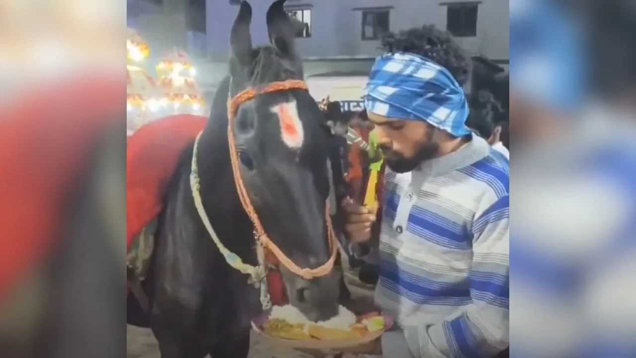 Viral Video: ਘੋੜੇ ਨਾਲ ਇੱਕੋ ਹੀ ਪਲੇਟ ਵਿੱਚ ਖਾਂਦਾ ਦਿਖਿਆ ਬੰਦਾ, ਲੋਕ ਬੋਲੇ, ਭਰਾ ਨੇ ਦਿਲ ਜਿੱਤ ਲਿਆ Viral Video: ਘੋੜੇ ਨਾਲ ਇੱਕੋ ਹੀ ਪਲੇਟ ਵਿੱਚ ਖਾਂਦਾ ਦਿਖਿਆ ਬੰਦਾ, ਲੋਕ ਬੋਲੇ, ਭਰਾ ਨੇ ਦਿਲ ਜਿੱਤ ਲਿਆ