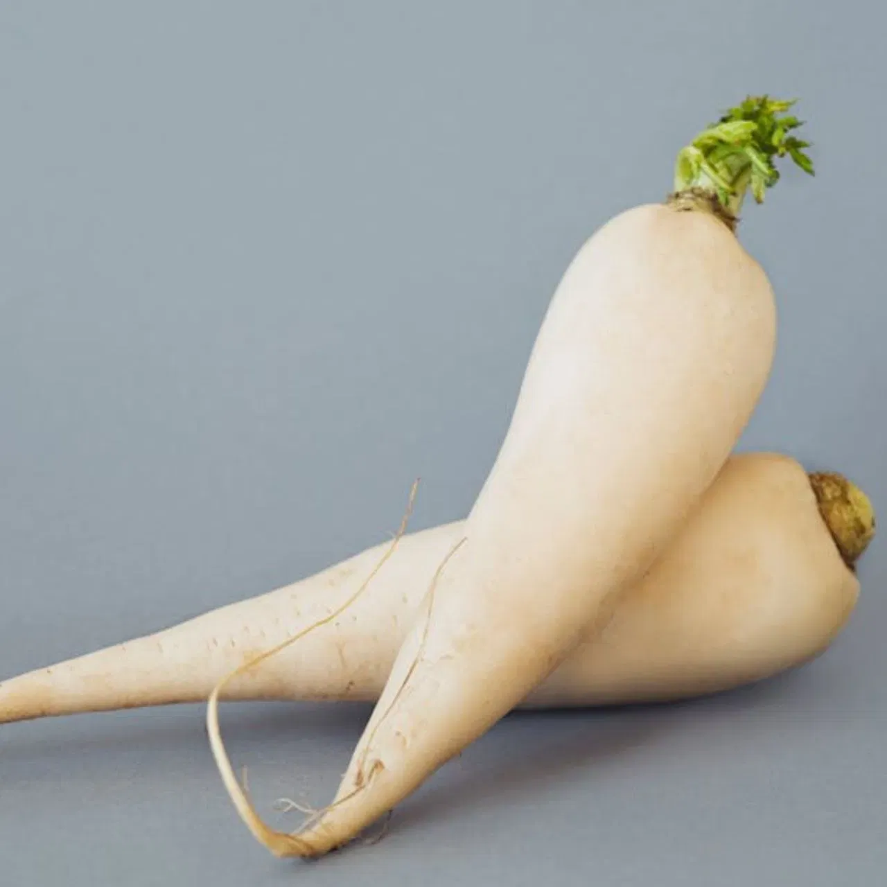 ਮੂਲੀ ਵਿੱਚ ਪਾਣੀ ਦੀ ਮਾਤਰਾ ਵਧੇਰੇ ਹੁੰਦੀ ਹੈ, ਇਸ ਲਈ ਇਹਨਾਂ ਨੂੰ ਖਾਣ ਨਾਲ ਸਰੀਰ ਨੂੰ ਹਾਈਡ੍ਰੇਟ ਰੱਖਣ ਵਿੱਚ ਮਦਦ ਮਿਲਦੀ ਹੈ। ਇਹਨਾਂ ਦਾ ਠੰਢਕ ਵਾਲਾ ਪ੍ਰਭਾਵ ਹੁੰਦਾ ਹੈ, ਇਸ ਲਈ ਇਹਨਾਂ ਨੂੰ ਖਾਣ ਨਾਲ ਬਦਹਜ਼ਮੀ, ਕਬਜ਼ ਅਤੇ ਐਸਿਡਿਟੀ ਨੂੰ ਦੂਰ ਕਰਨ ਵਿੱਚ ਮਦਦ ਮਿਲ ਸਕਦੀ ਹੈ। ਇਹਨਾਂ ਨੂੰ ਪਾਚਨ ਤੰਤਰ ਲਈ ਵੀ ਚੰਗਾ ਮੰਨਿਆ ਜਾਂਦਾ ਹੈ। (ਕ੍ਰੈਡਿਟ: ਪੈਕਸਲ)