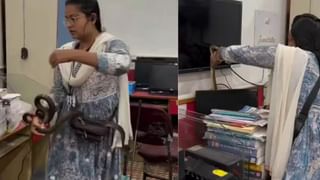 Viral Video: ਦੇਖਿਆ, ਫੜਿਆ ਅਤੇ ਕੋਬਰਾ ਨੂੰ ਥੈਲੇ ‘ਚ ਪਾ ਕੇ ਨਿਕਲ ਪਈ ਕੁੜੀ, ਦੀਦੀ ਦੀ ਹਿੰਮਤ ਦੇਖ ਕੇ ਦੰਗ ਰਹਿ ਗਏ ਲੋਕ