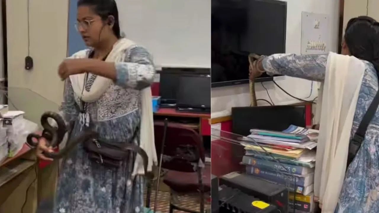 Viral Video: ਦੇਖਿਆ, ਫੜਿਆ ਅਤੇ ਕੋਬਰਾ ਨੂੰ ਥੈਲੇ 'ਚ ਪਾ ਕੇ ਨਿਕਲ ਪਈ ਕੁੜੀ, ਦੀਦੀ ਦੀ ਹਿੰਮਤ ਦੇਖ ਕੇ ਦੰਗ ਰਹਿ ਗਏ ਲੋਕ