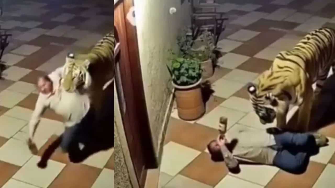 Viral Video: ਸ਼ਰਾਬੀ ਨੂੰ ਘਰ ਛੱਡਣ ਆਇਆ ਖੂੰਖਾਰ ਬਾਘ, ਹੋਸ਼ ਉਡਾ ਦੇਣ ਵਾਲਾ ਵੀਡੀਓ ਵਾਇਰਲ