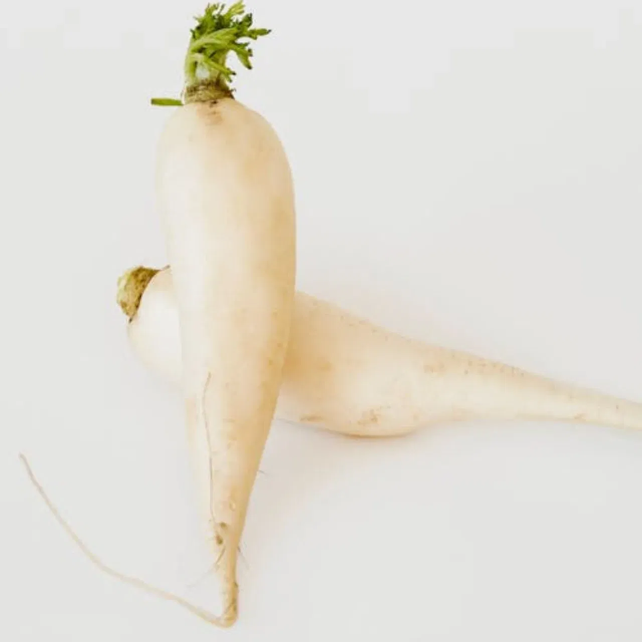 ਨਾਲ ਹੀ, ਕੁਝ ਡਾਕਟਰੀ ਸਥਿਤੀਆਂ ਵਿੱਚ ਮੂਲੀ ਦਾ ਸੇਵਨ ਕਰਨ ਤੋਂ ਪਰਹੇਜ਼ ਕਰਨਾ ਚਾਹੀਦਾ ਹੈ। ਇਸਦਾ ਠੰਡਾ ਪ੍ਰਭਾਵ ਹੁੰਦਾ ਹੈ, ਇਸ ਲਈ ਖੰਘ, ਜ਼ੁਕਾਮ, ਸਿਰ ਦਰਦ, ਮਾਈਗ੍ਰੇਨ ਅਤੇ ਦਮੇ ਵਾਲੇ ਲੋਕਾਂ ਨੂੰ ਇਸਨੂੰ ਖਾਣ ਤੋਂ ਪਰਹੇਜ਼ ਕਰਨਾ ਚਾਹੀਦਾ ਹੈ। ਇਸ ਤੋਂ ਇਲਾਵਾ, ਆਮ ਲੋਕਾਂ ਨੂੰ ਵੀ ਇਸਦਾ ਸੇਵਨ ਸੀਮਤ ਮਾਤਰਾ ਵਿੱਚ ਕਰਨਾ ਚਾਹੀਦਾ ਹੈ।