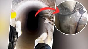 ਸਿੱਧੇ 'ਪਤਾਲ ਲੋਕ' ਦੀ ਐਂਟਰੀ! 1000 ਫੁੱਟ ਡੂੰਘੇ ਬੋਰਵੈੱਲ ਦਾ VIDEO ਵਾਇਰਲ ਸਿੱਧੇ 'ਪਤਾਲ ਲੋਕ' ਦੀ ਐਂਟਰੀ! 1000 ਫੁੱਟ ਡੂੰਘੇ ਬੋਰਵੈੱਲ ਦਾ VIDEO ਵਾਇਰਲ