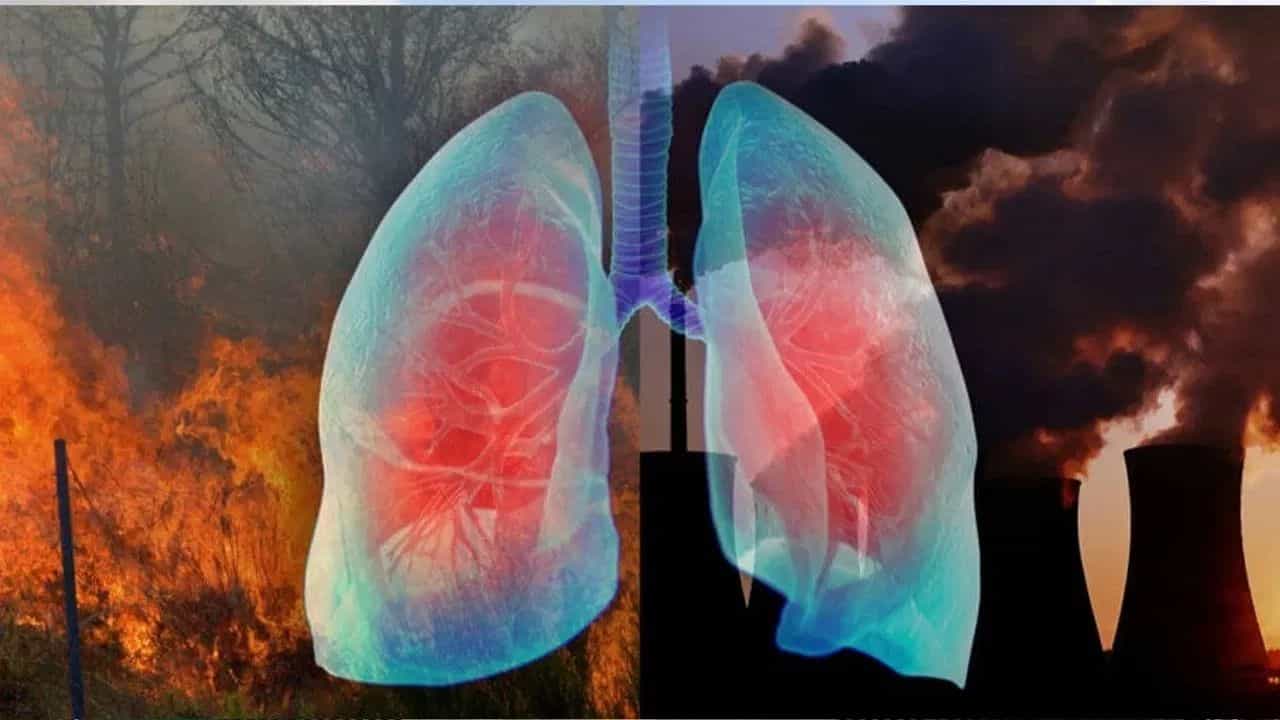 ਸਾਹ ਦੀਆਂ ਬਿਮਾਰੀਆਂ, ਕੈਂਸਰ ਦਾ ਖ਼ਤਰਾ...ਤੁਹਾਡੇ ਫੇਫੜਿਆਂ ਨੂੰ ਕਿੰਨਾ ਨੁਕਸਾਨ ਪਹੁੰਚਾ ਰਿਹਾ ਹੈ ਪ੍ਰਦੂਸ਼ਣ?