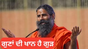 ਸੁੱਕੇ ਮੇਵਿਆਂ ਵਾਲਾ ਗੁੜ ਸਰਦੀ ਲਈ ਕਿੰਨਾ ਫਾਇਦੇਮੰਦ... ਸਵਾਮੀ ਰਾਮਦੇਵ ਦੇ ਦੱਸਿਆ