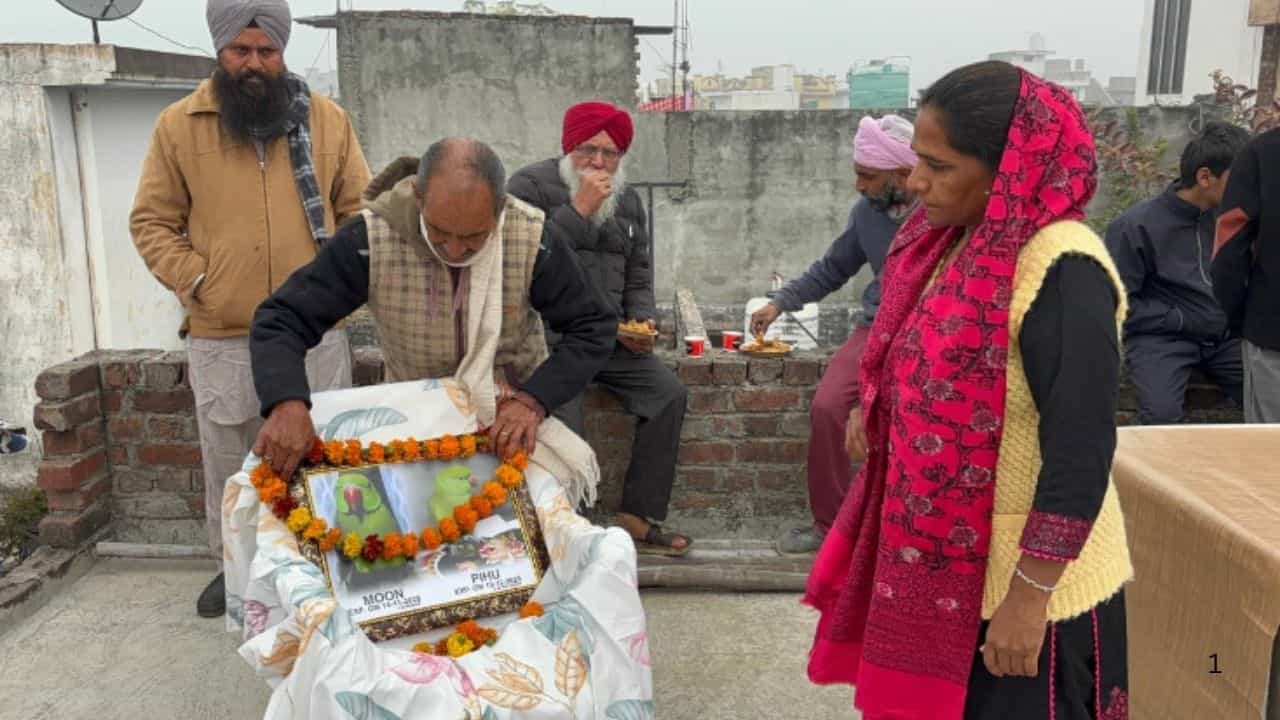ਗੁਰਦਾਸਪੁਰ ਦੇ ਪਰਿਵਾਰ ਨੇ ਤੋਤਾ-ਤੋਤੀ ਦੀ ਮੌਤ ਤੇ ਨਿਭਾਏ ਸਾਰੇ ਰੀਤੀ-ਰਿਵਾਜ, ਪਿਆਰ ਦੀ ਅਨੋਖੀ ਮਿਸਾਲ