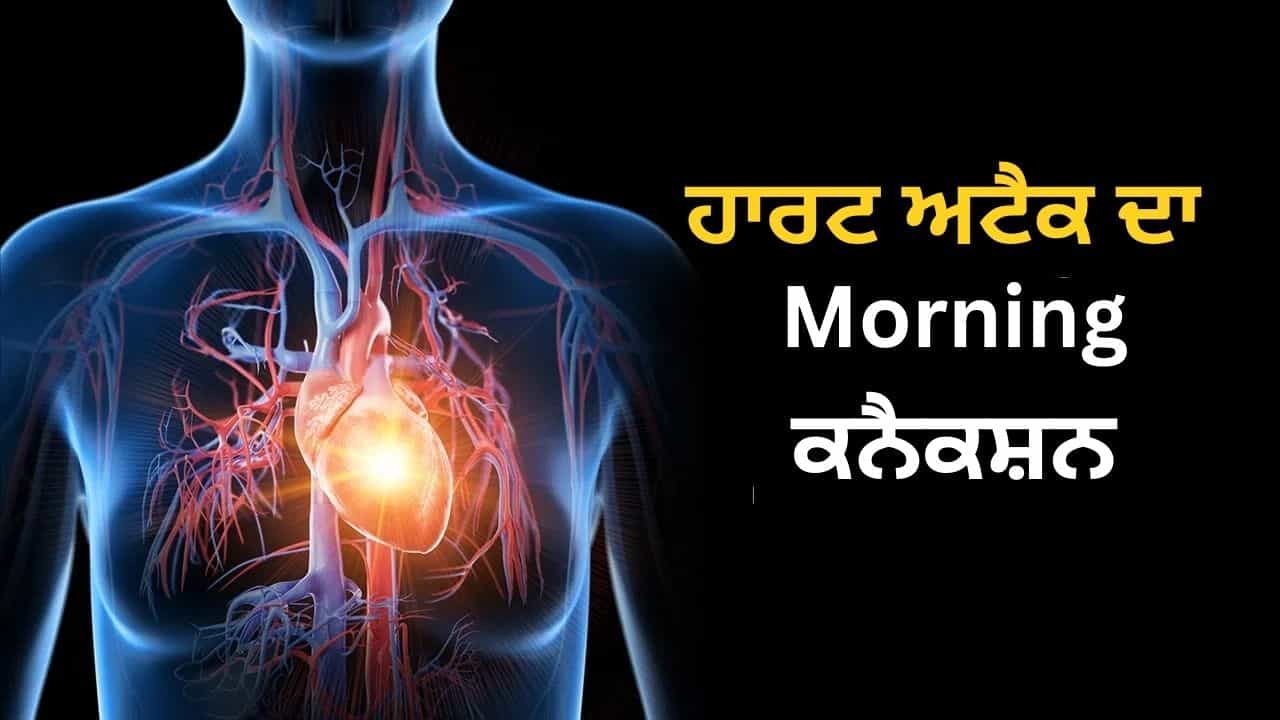 ਸਰਦੀਆਂ ਵਿੱਚ ਸਵੇਰੇ ਹਾਰਟ ਅਟੈਕ ਜ਼ਿਆਦਾ ਕਿਉਂ ਹੁੰਦੇ ਹਨ? ਕੀ ਇਸ ਤੋਂ ਬਚਿਆ ਜਾ ਸਕਦਾ ਹੈ?