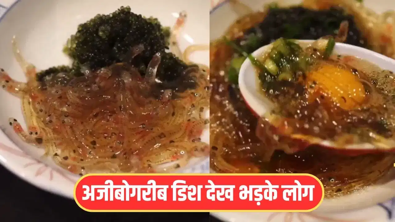 OMG! ਇਹ ਕਿਹੋ ਜਿਹੀ ਡਿਸ਼? ਇੱਥੇ ਜ਼ਿੰਦਾ ਮੱਛੀ ਤੇ ਸੌਸ ਪਾ ਕੇ ਖਾ ਜਾਂਦੇ ਹਨ ਲੋਕ; ਵੀਡੀਓ ਵੇਖ ਕੇ ਭੜਕੇ ਲੋਕ OMG! ਇਹ ਕਿਹੋ ਜਿਹੀ ਡਿਸ਼? ਇੱਥੇ ਜ਼ਿੰਦਾ ਮੱਛੀ ਤੇ ਸੌਸ ਪਾ ਕੇ ਖਾ ਜਾਂਦੇ ਹਨ ਲੋਕ; ਵੀਡੀਓ ਵੇਖ ਕੇ ਭੜਕੇ ਲੋਕ