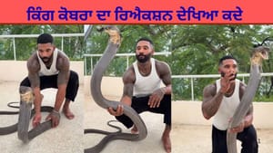 ਬੰਦੇ ਨੇ ਕਿੰਗ ਕੋਬਰਾ ਨੂੰ ਇੰਝ ਸਹਲਾਇਆ, ਸੱਪ ਦੀ ਪ੍ਰਤੀਕਿਰਿਆ ਦੇਖ ਕੇ ਲੋਕ ਹੈਰਾਨ ਬੰਦੇ ਨੇ ਕਿੰਗ ਕੋਬਰਾ ਨੂੰ ਇੰਝ ਸਹਲਾਇਆ, ਸੱਪ ਦੀ ਪ੍ਰਤੀਕਿਰਿਆ ਦੇਖ ਕੇ ਲੋਕ ਹੈਰਾਨ