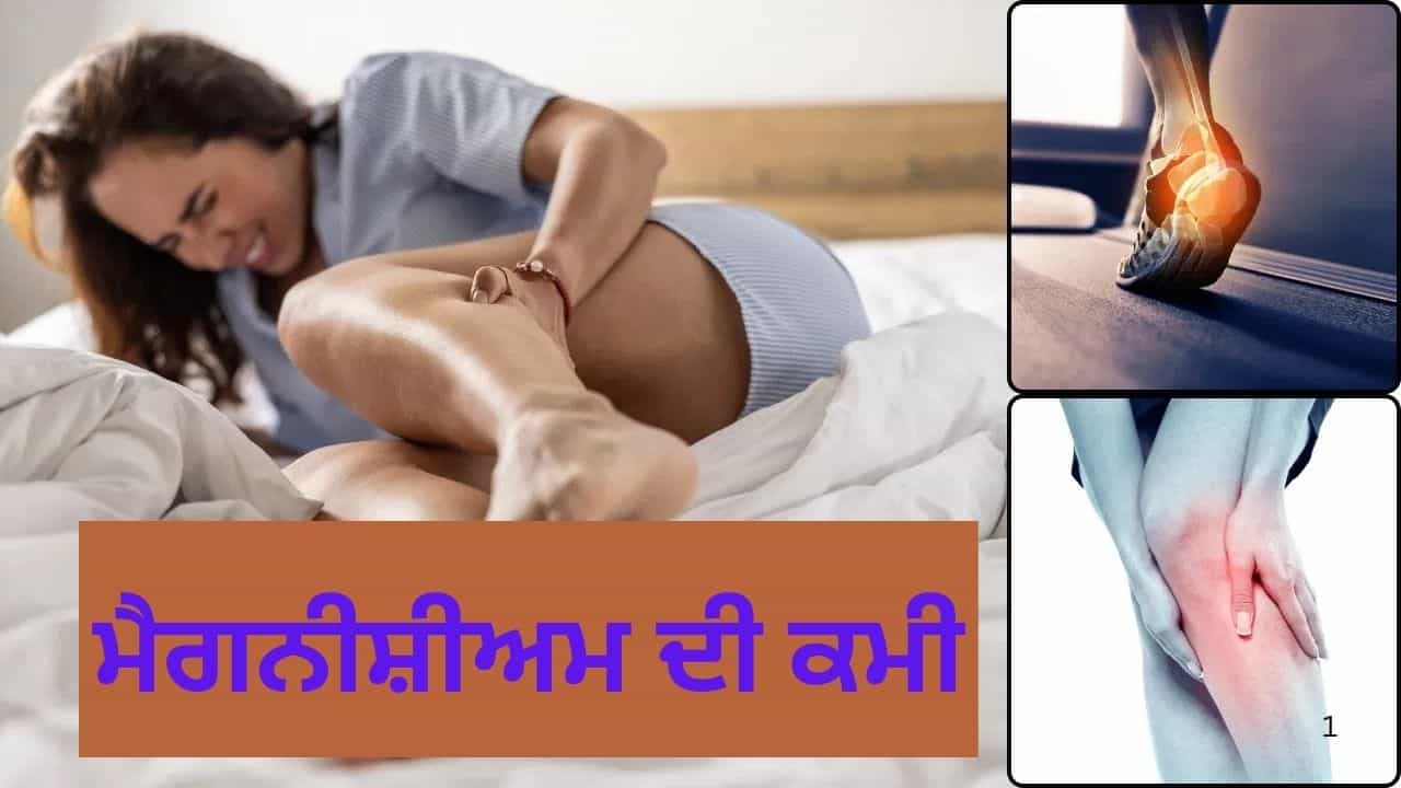 ਮਾਸਪੇਸ਼ੀਆਂ ਵਿੱਚ ਕੜਲ, ਦਰਦ ਅਤੇ ਥਕਾਵਟ...ਮੈਗਨੀਸ਼ੀਅਮ ਦੀ ਕਮੀ ਦੇ ਦਿੱਖ ਰਹੇ ਹਨ ਲੱਛਣ ਤਾਂ ਖਾਓ ਇਹ ਫੂਡਸ ਮਾਸਪੇਸ਼ੀਆਂ ਵਿੱਚ ਕੜਲ, ਦਰਦ ਅਤੇ ਥਕਾਵਟ...ਮੈਗਨੀਸ਼ੀਅਮ ਦੀ ਕਮੀ ਦੇ ਦਿੱਖ ਰਹੇ ਹਨ ਲੱਛਣ ਤਾਂ ਖਾਓ ਇਹ ਫੂਡਸ