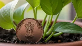 ਮਨੀ ਪਲਾਂਟ ਵਿੱਚ ਸਿੱਕਾ ਪਾਉਣ ਨਾਲ ਕੀ ਹੁੰਦਾ ਹੈ? ਜਾਣੋ ਵਾਸਤੂ ਦੇ ਇਸ ਉਪਾਅ ਤੋਂ ਮਿਲਣ ਵਾਲੇ ਬੇਅੰਤ ਫਾਇਦਿਆਂ ਬਾਰੇ