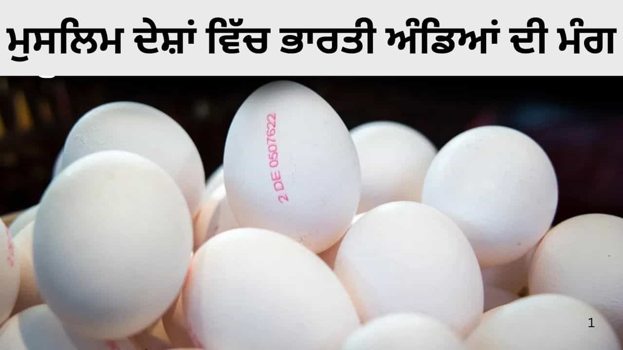 ਓਮਾਨ ਭਾਰਤੀ ਅੰਡਿਆਂ ਦਾ ਸਭ ਤੋਂ ਵੱਡਾ ਖਰੀਦਦਾਰ ਕਿਉਂ? ਜਿੱਥੇ PM ਮੋਦੀ ਦਾ ਦੌਰਾ