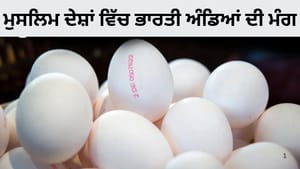 ਓਮਾਨ ਭਾਰਤੀ ਅੰਡਿਆਂ ਦਾ ਸਭ ਤੋਂ ਵੱਡਾ ਖਰੀਦਦਾਰ ਕਿਉਂ? ਜਿੱਥੇ PM ਮੋਦੀ ਦਾ ਦੌਰਾ ਓਮਾਨ ਭਾਰਤੀ ਅੰਡਿਆਂ ਦਾ ਸਭ ਤੋਂ ਵੱਡਾ ਖਰੀਦਦਾਰ ਕਿਉਂ? ਜਿੱਥੇ PM ਮੋਦੀ ਦਾ ਦੌਰਾ