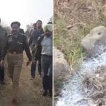 ਪਟਿਆਲਾ ‘ਚ ਪੁਲਿਸ ਐਨਕਾਉਂਟਰ, ਲੱਕੀ ਪਟਿਆਲ ਨਾਲ ਜੁੜਿਆ ਗੈਂਗਸਟਰ ਜਖ਼ਮੀ, ਕਈ ਮਾਮਲਿਆਂ ‘ਚ ਸੀ ਲੋੜੀਂਦਾ