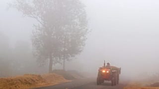 ਪੰਜਾਬ ਵਿੱਚ ਵਧੀ ਠੰਢ , ਸੀਤ ਲਹਿਰ ਦਾ ਕਹਿਰ, ਤਾਪਮਾਨ ਵਿੱਚ ਵੱਡੀ ਗਿਰਾਵਟ