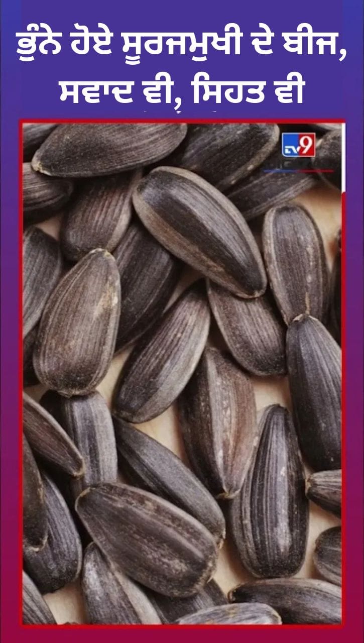 ਸੂਰਜਮੁਖੀ ਦੇ ਬੀਜ: ਸਕਿਨ, ਹਾਰਟ ਅਤੇ ਇਮਿਊਨਿਟੀ ਲਈ ਵਰਦਾਨ