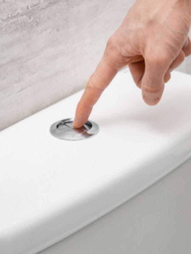 ਕੀ ਤੁਹਾਨੂੰ ਪਤਾ ਹੈ ਕਿ ਟਾਇਲਟ ‘ਚ ਕਿਉਂ ਹੁੰਦੇ ਹਨ ਦੋ ਫਲੱਸ਼ ਬਟਨ?