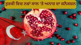 ਤੁਰਕੀ ਵਿੱਚ ਨਵੇਂ ਸਾਲ ਵਾਲੇ ਦਿਨ ਅਨਾਰ ਕਿਉਂ ਤੋੜਦੇ ਹਨ? ਜਾਣੋ ਇਸ ਦੇ ਪਿੱਛੇ ਦੀ ਅਜੀਬੋ-ਗਰੀਬ ਪਰੰਪਰਾ...