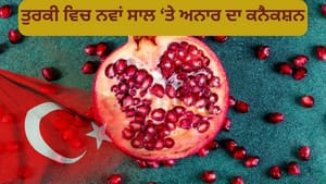 ਤੁਰਕੀ ਵਿੱਚ ਨਵੇਂ ਸਾਲ ਵਾਲੇ ਦਿਨ ਅਨਾਰ ਕਿਉਂ ਤੋੜਦੇ ਹਨ? ਜਾਣੋ ਵਜ੍ਹਾਂ