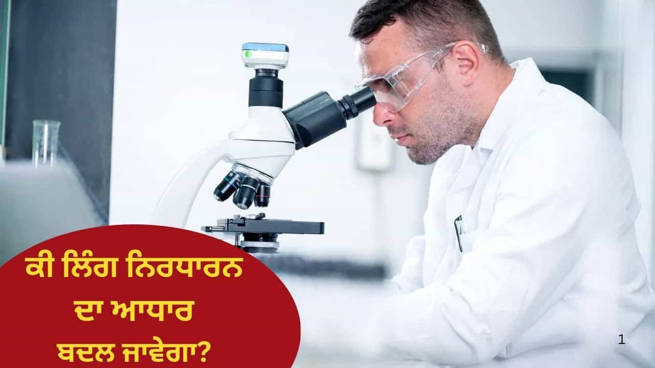 ਕੀ ਦੁਨੀਆ ਤੋਂ ਗਾਇਬ ਹੋਣ ਵਾਲੇ ਹਨ ਮਰਦ? Y ਕ੍ਰੋਮੋਸੋਮ ਨੇ ਖੋ ਦਿੱਤੇ ਆਪਣੇ 97 ਫੀਸਦੀ ਜੀਨ ਕੀ ਦੁਨੀਆ ਤੋਂ ਗਾਇਬ ਹੋਣ ਵਾਲੇ ਹਨ ਮਰਦ? Y ਕ੍ਰੋਮੋਸੋਮ ਨੇ ਖੋ ਦਿੱਤੇ ਆਪਣੇ 97 ਫੀਸਦੀ ਜੀਨ