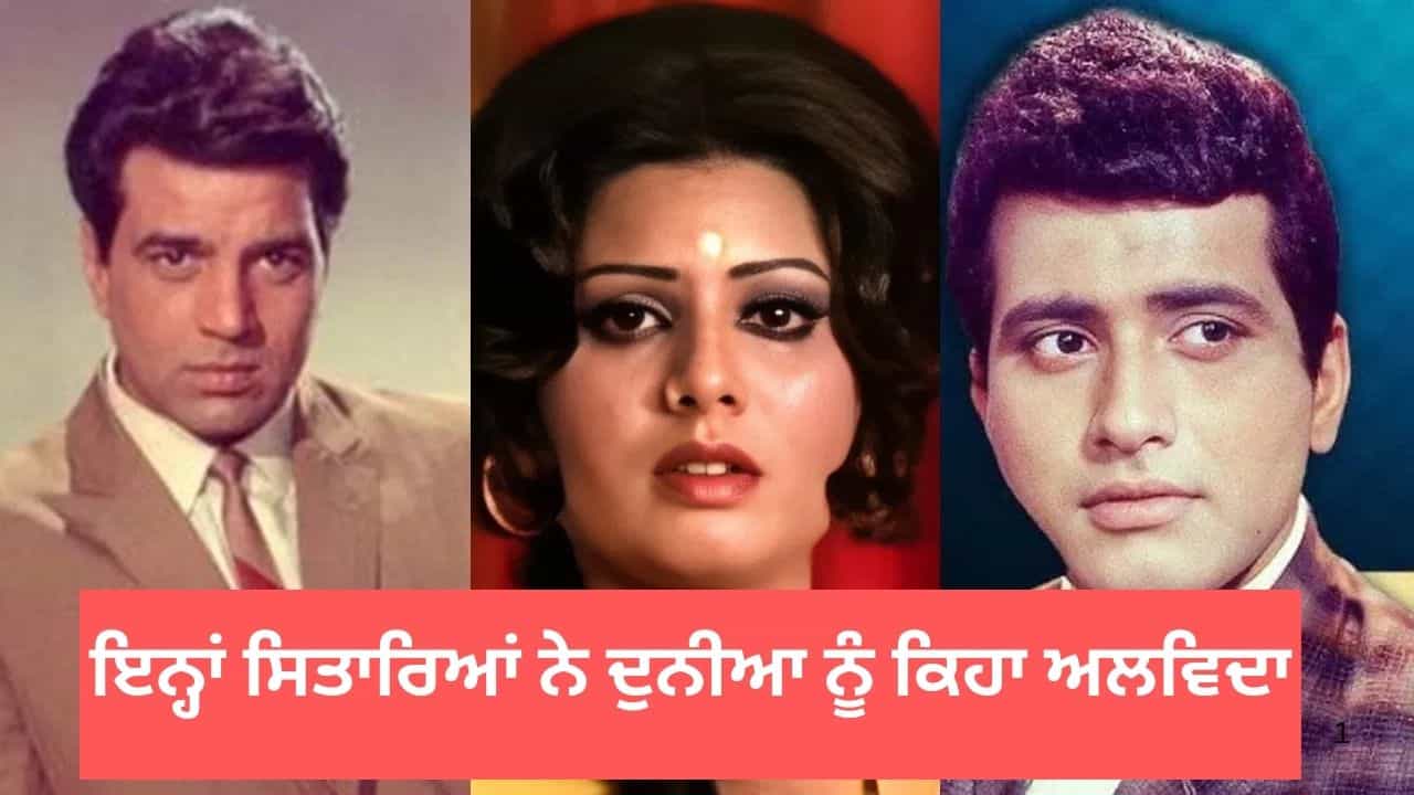 ਮਨੋਰੰਜਨ ਜਗਤ ਦੇ ਉਹ 15 ਸਿਤਾਰੇ, ਜਿਨ੍ਹਾਂ ਨੇ ਇਸ ਸਾਲ ਦੁਨੀਆ ਨੂੰ ਅਲਵਿਦਾ ਕਿਹਾ