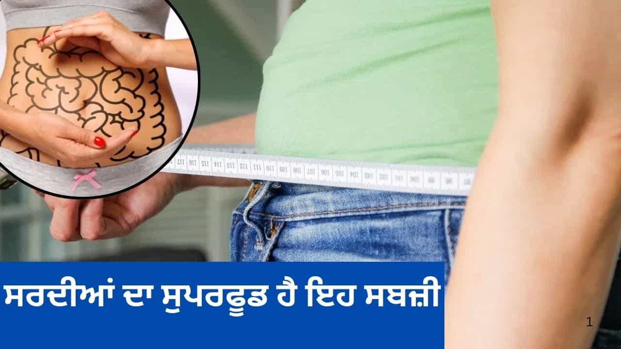 Gut ਹੈਲਥ ਹੋਵੇਗੀ ਮਜ਼ਬੂਤ, ਪੇਟ ਦੀ ਚਰਬੀ ਹੋਵੇਗੀ ਗਾਇਬ, ਇਸ ਵਿਟਾਮਿਨ-ਫਾਈਬਰ ਨਾਲ ਭਰਪੂਰ ਸਬਜ਼ੀ ਨੂੰ ਸਰਦੀਆਂ ਦੌਰਾਨ ਖਾਓ Gut ਹੈਲਥ ਹੋਵੇਗੀ ਮਜ਼ਬੂਤ, ਪੇਟ ਦੀ ਚਰਬੀ ਹੋਵੇਗੀ ਗਾਇਬ, ਇਸ ਵਿਟਾਮਿਨ-ਫਾਈਬਰ ਨਾਲ ਭਰਪੂਰ ਸਬਜ਼ੀ ਨੂੰ ਸਰਦੀਆਂ ਦੌਰਾਨ ਖਾਓ